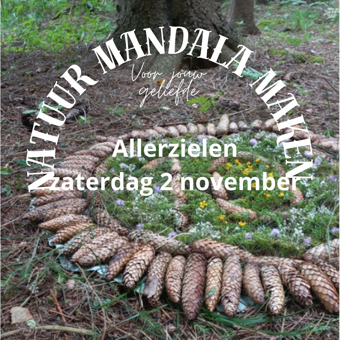 Mandala 2 november (1)