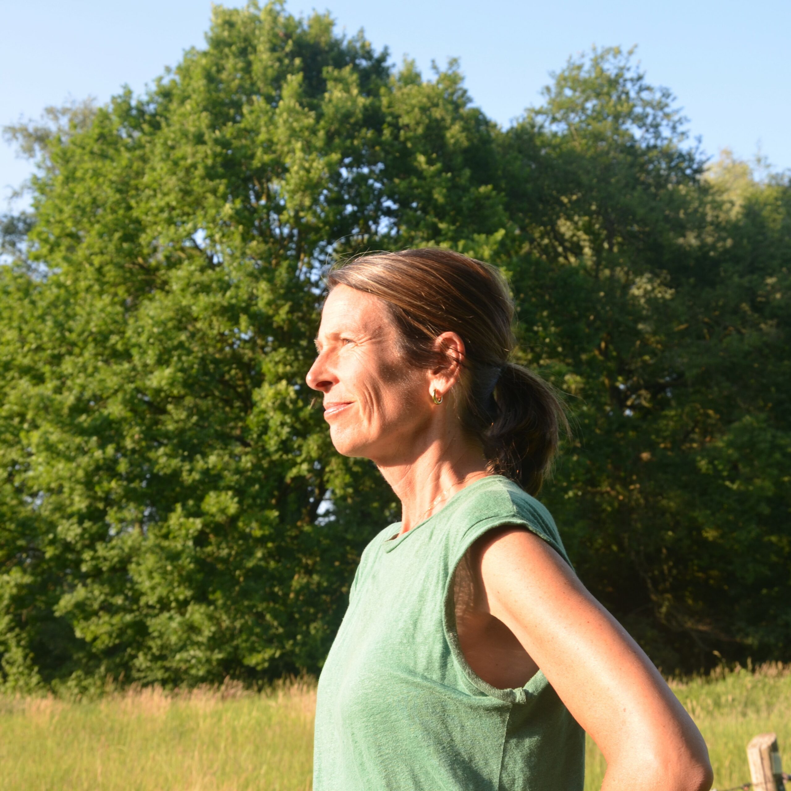 En profile groen