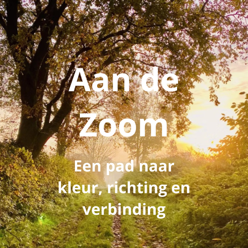 Aan de Zoom verkleind